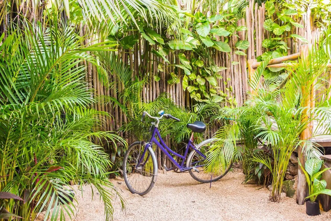 ** Panzió Oostel Smart Hostel - Tulum Playa Mexikó