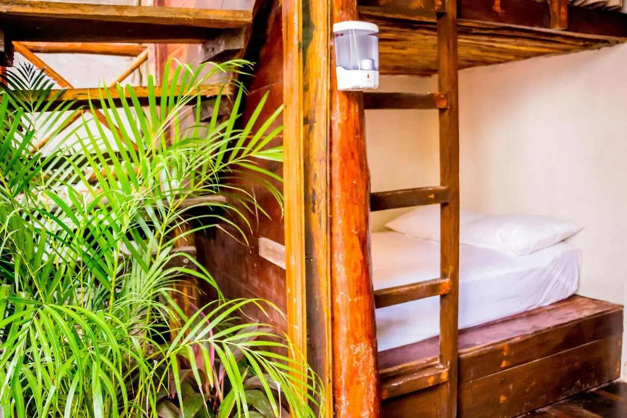 Panzió Oostel Smart Hostel - Tulum Playa
