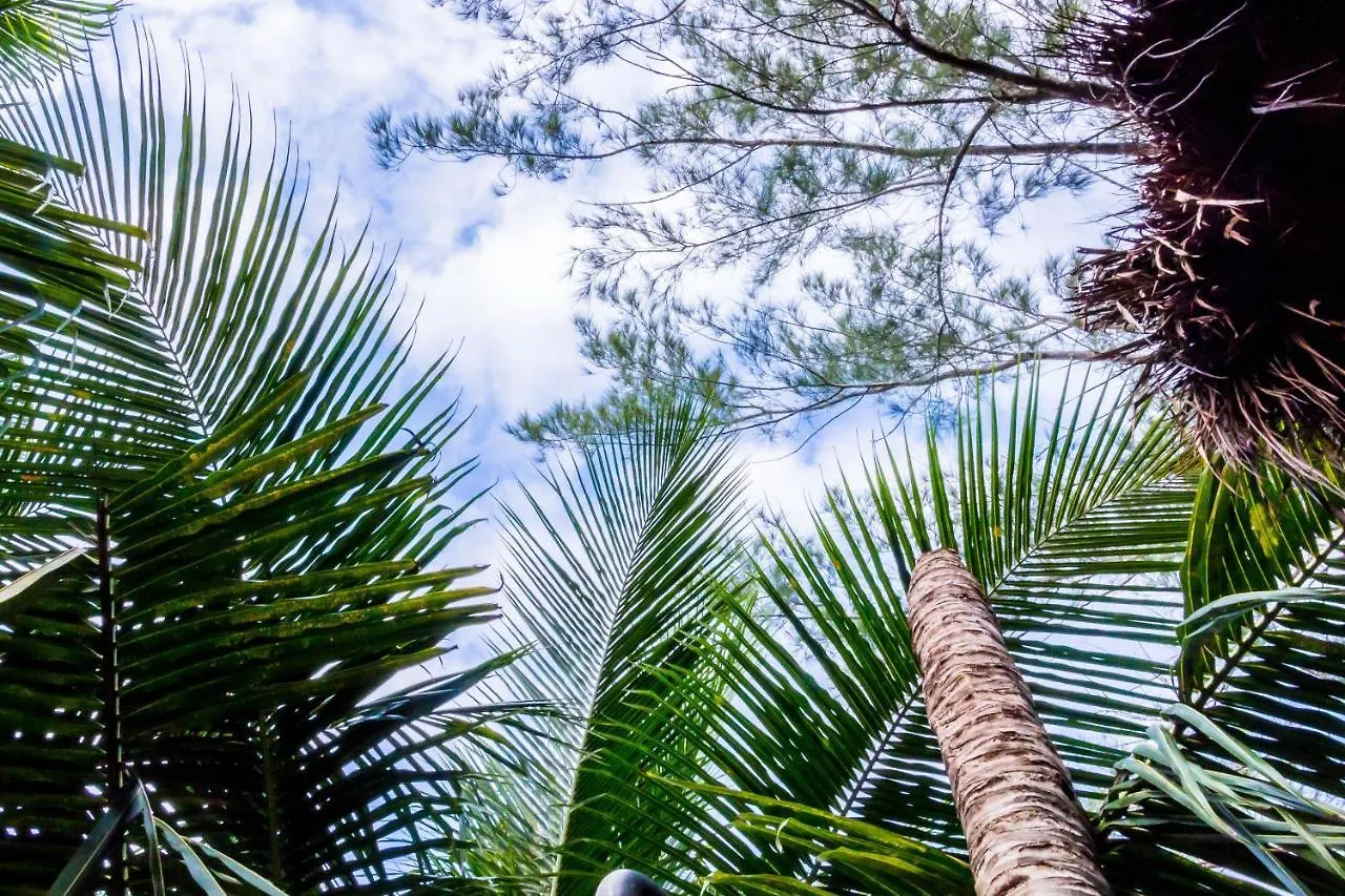 Oostel Smart Hostel - Tulum Playa Mexico