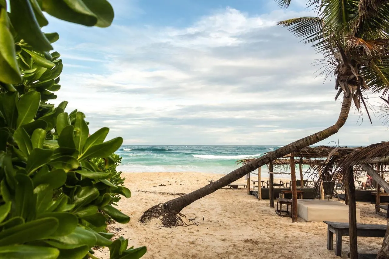 Oostel Smart Hostel - Tulum Playa 2*,  Mexico